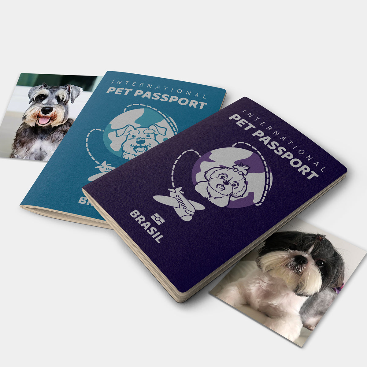 Passaporte para Pets Plus | 32 pág