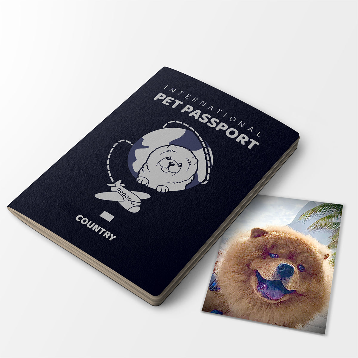 Passaporte para Pets Plus | 32 pág