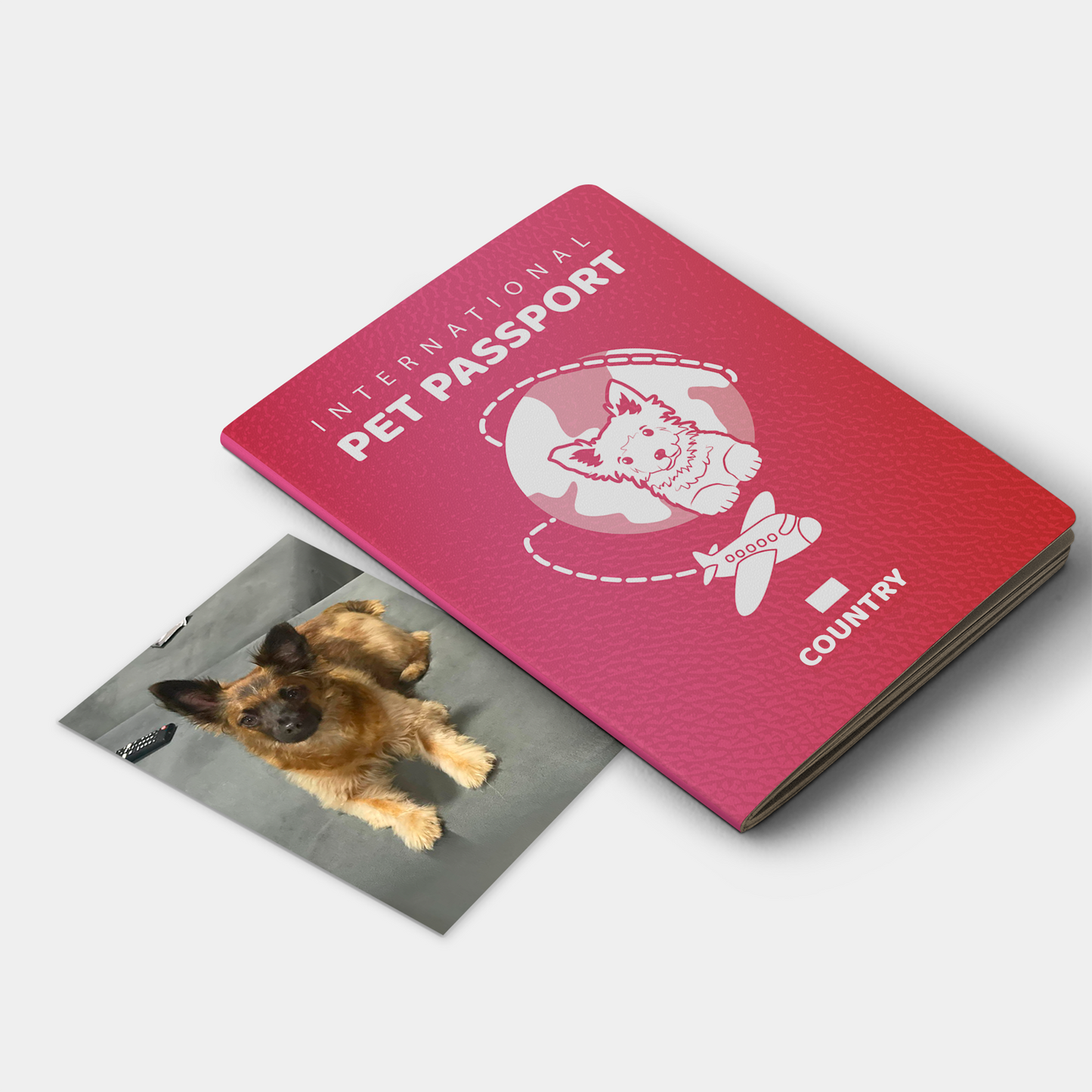 Passaporte para Pets Plus | 32 pág