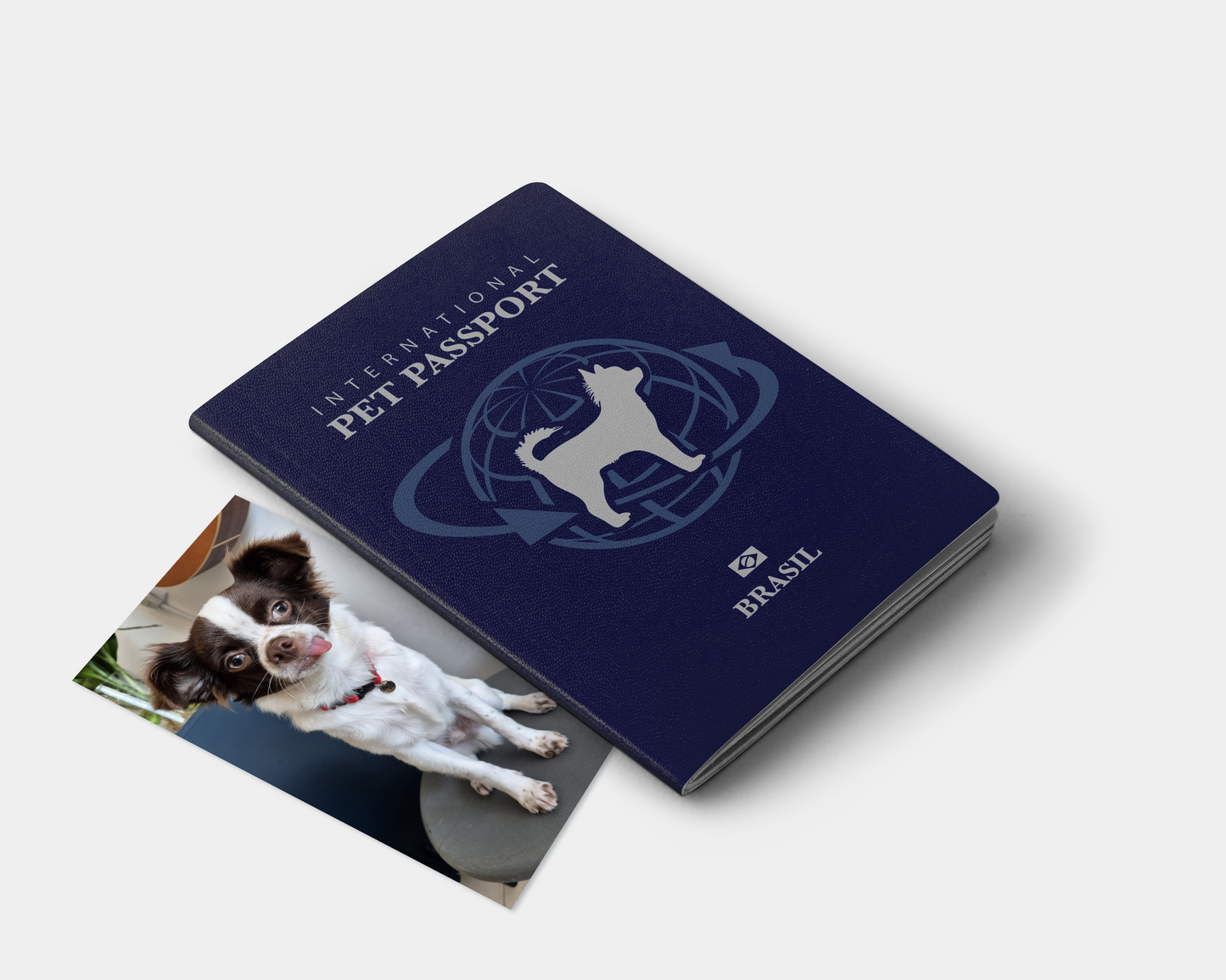 Passaporte para Pets Classic | 32 pág