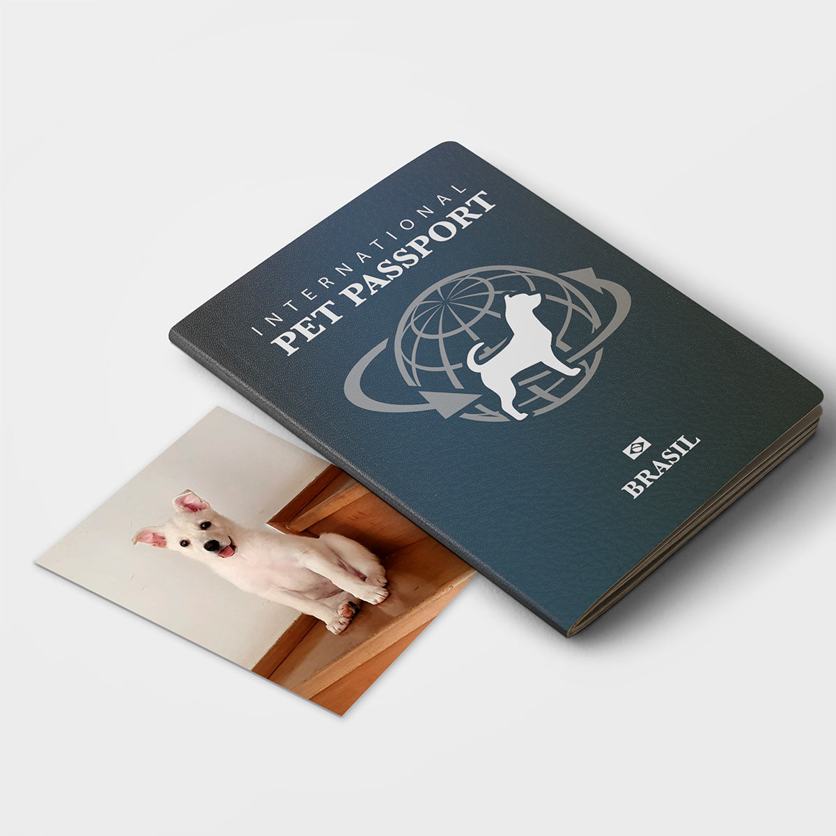 Passaporte para Pets Classic | 32 pág