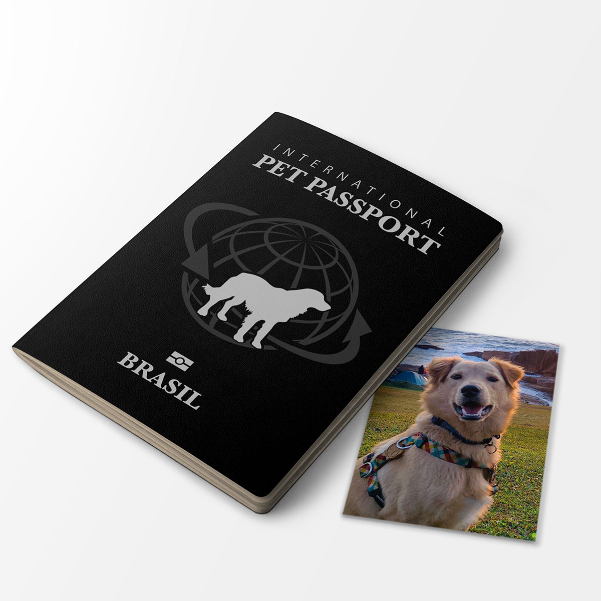 Passaporte para Pets Classic | 32 pág